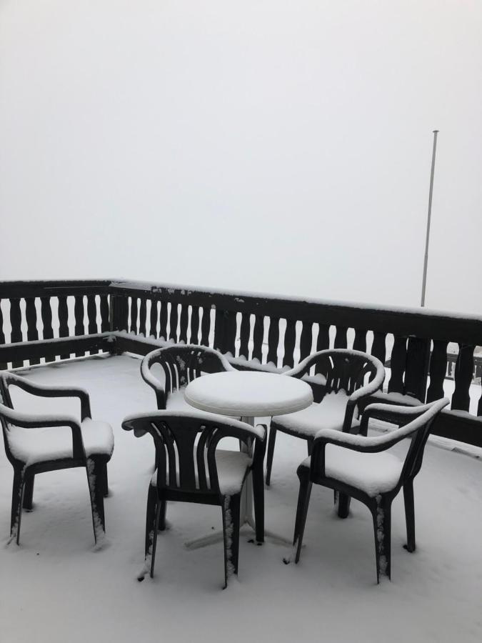 Haus Hubertus Lägenhet Willingen  Exteriör bild