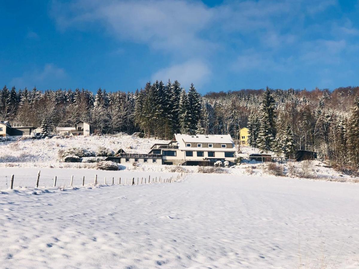 Haus Hubertus Lägenhet Willingen  Exteriör bild