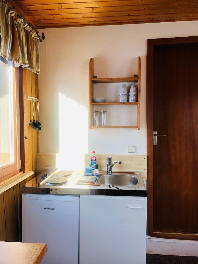 Haus Hubertus Lägenhet Willingen  Exteriör bild