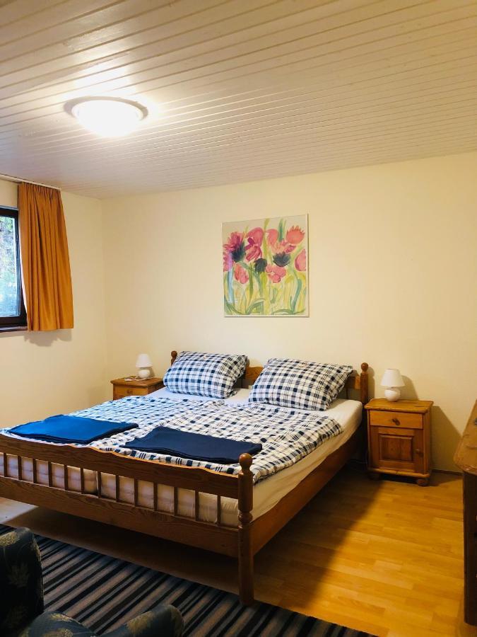 Haus Hubertus Lägenhet Willingen  Exteriör bild