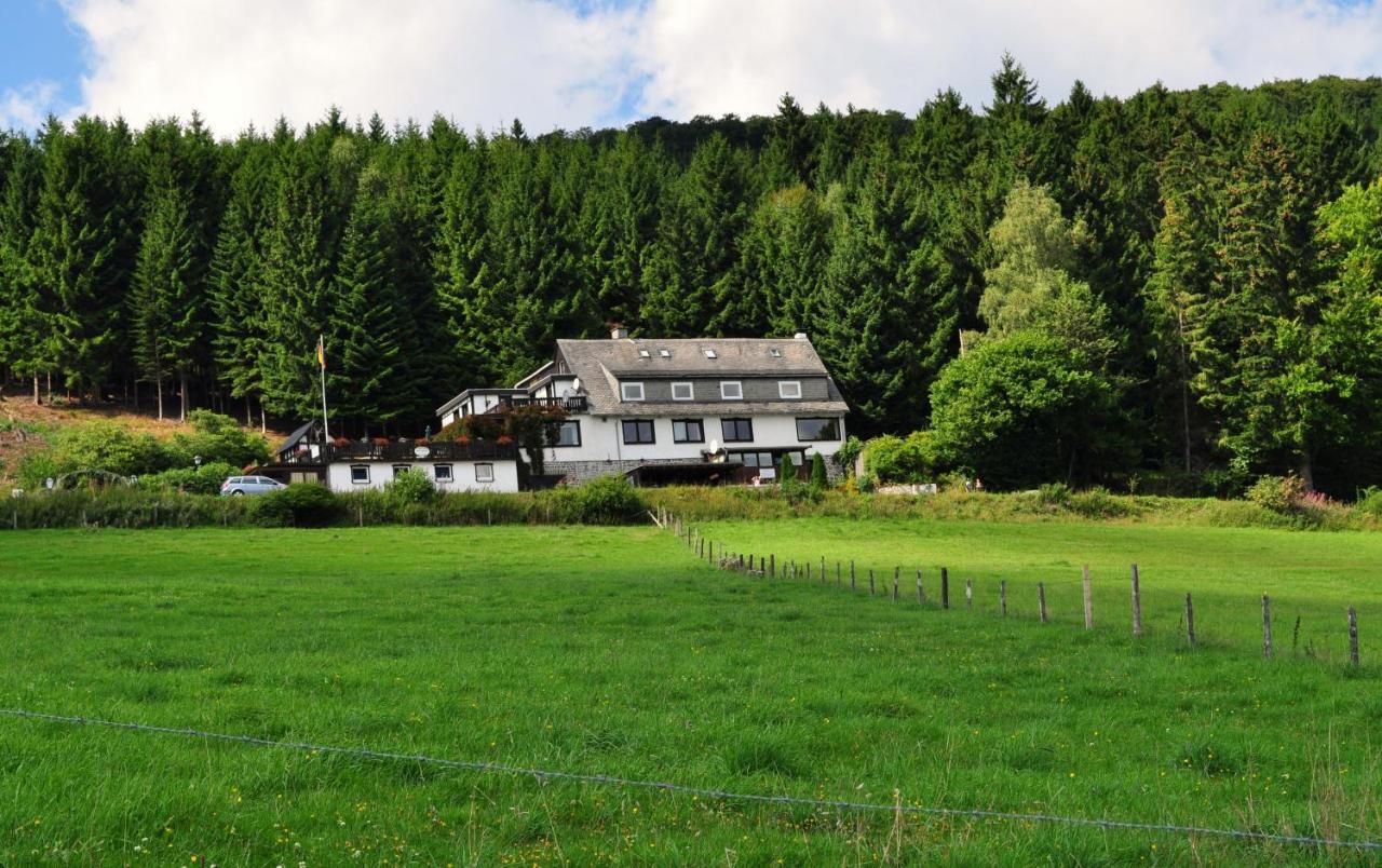 Haus Hubertus Lägenhet Willingen  Exteriör bild