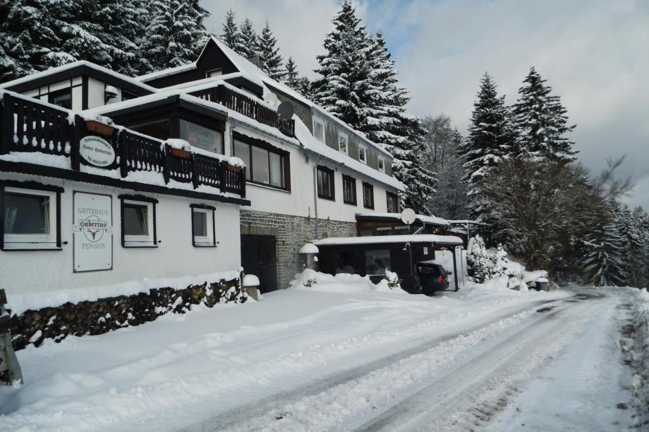 Haus Hubertus Lägenhet Willingen  Exteriör bild